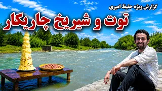 Hafiz Amiri's Special Report from Mulberries and Shiryakh / گزارش ویژه حفیظ امیری از توت و شیریخ