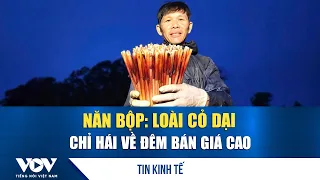 Nan bop: The weed harvested only at night that sells for a high price | VOV