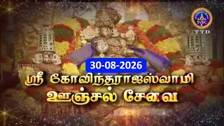 GT Sri Govindarajaswamy vari Unjal seva || Tirupati || SVBC2 TAMIL || 30-08-2026 || SVBC TTD