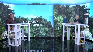 dr Stanislav Milošević, gost emisije "Buđenje uz TV Pančevo" 03.09.2026 - TV Pančevo