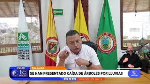 ? CARDER alerta por árboles en riesgo en Pereira