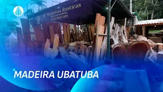 Família transforma árvores caídas em móveis artesanais incríveis | Faça Você Mesmo