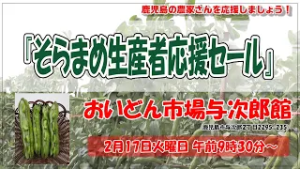 【そらまめ生産者応援セール】霜の被害を受けた鹿児島の「そらまめ」農家さんを応援しましょう！