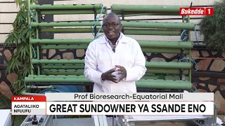Omusomo gwa Great Sundowner gwa ssande eno. Okuyingira kwa 100,000/=.