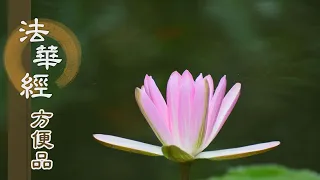 【靜思妙蓮華】法華經方便品第二 - 法海德無邊 - 第187集｜共修版