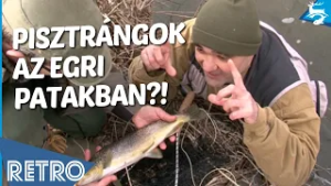 Pisztrángok Egerben? Légy ott - F&H retro