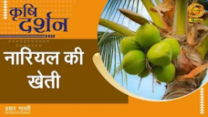 Krishi Darshan | कृषि दर्शन- नारियल की खेती | DD Kisan | March 4, 2026