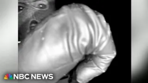 FBI testing DNA found on glove consistent with type seen on Guthrie doorbell video