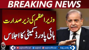 Pakistan High-Powered Committee | PM Shahbaz Sharif | Petroleum Stock & Consumption - Aaj News