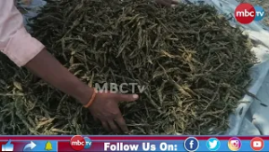 ? LIVE: ?️ PRIME TIME NEWS