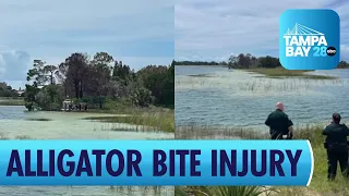 Child hospitalized after alligator bite at Weeki Wachee Preserve