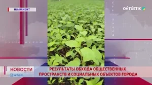 РЕЗУЛЬТАТЫ ОБХОДА ОБЩЕСТВЕННЫХ ПРОСТРАНСТВ И СОЦИАЛЬНЫХ ОБЪЕКТОВ ГОРОДА