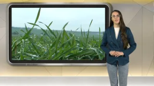 Седмична агрометеорологична прогноза: динамични условия в началото на февруари