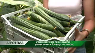 Агротема: Оранжерийно производство – равносметка и бъдеще за сектора