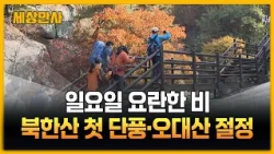 일요일 요란한 비…북한산 첫 단풍·오대산 절정 [세상만사] #주말날씨 #단풍 #오대산 #북한산