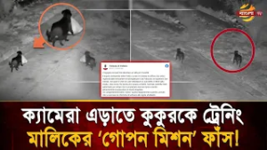 CCTV ফাঁ/কি দিতে কুকুরকে ব্যবহার! ইতালিতে ধরা পড়ল মালিকের চালাকি  | Bangla TV