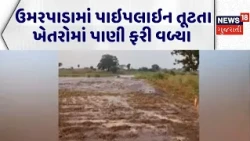 Surat Water Line Leak |ઉમરપાડામાં પાઇપલાઇન તૂટતા ખેતરોમાં પાણી ફરી વળ્યા |Water Logged |Gujarat News
