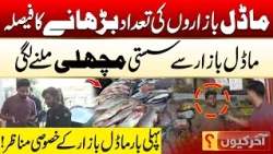 More Model Bazaars Coming Soon! | Aakhir Kyun With Hamza Javaid | 30 Oct 2026 | City42
