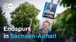 Wahl Sachsen-Anhalt: AfD vor Machtprobe im Osten