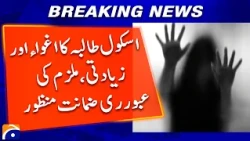 Schoolgirl Abduction and S*xual Assault Case: Accused Gets Interim Bail | Geo News