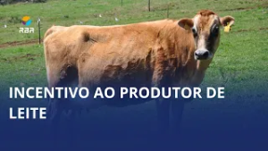 Mais crédito no campo: SC fortalece produtores de leite