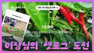 고추 따랴, 마을 챙기랴…🌾 대구 경북 농촌 이장님의 셋로그 #대구 #tbc #대구방송#shorts  #setlog