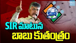 SIR మాటున బాబు కుతంత్రం | Chandrababu Cunning Plan Over SIR Survey Report | Sakshi TV