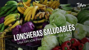 Loncheras saludables: una opción para alimentarse sano - TvAgro por Juan Gonzalo Angel