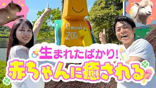 [Hamidase KBC] Fluffy and Adorable! Going to Meet the Newborn Babies!