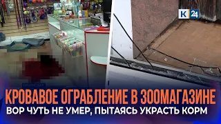Witnesses share details of attempted pet store robbery in Krasnodar