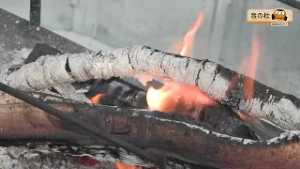 bun bun みえ　ドッグラン完備のキャンプ場　音の杜