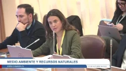 Comisión de Medio Ambiente y Recursos Naturales - Miércoles 7 octubre 2026