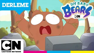 KAFADAR AYICIKLAR | Ayrı Dünyalar SÜPER Ayıcıklar Derlemesi | @cartoonnetworkturkiye
