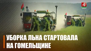 Сезон теребления льна стартовал на Гомельщине