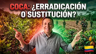 "The levels of coca De La Espriella inherited are unprecedented": Daniel Rico provides the analysis