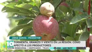 Tormenta, granizo y viento en la región: ¿cómo afectó a los productores?