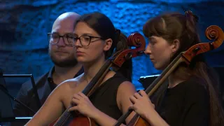 Poletni gala koncert v Posavskem muzeju Brežice