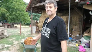 "Otac me u 6 ujutro probudi da čuvam goveda, a danas omladina spava do tri… Takav vakat doš'o"