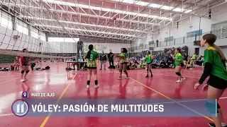 Volleyball: a passion for the masses 🏐👏