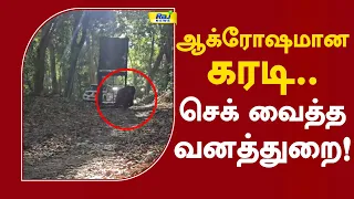 ஆக்ரோஷமான கரடி.. செக் வைத்த வனத்துறை! #BearAttack #WildAnimalAttack