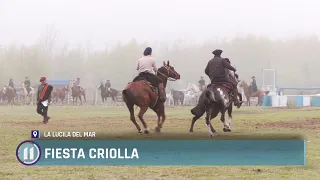 Creole Festival 🐎🇦🇷🎶