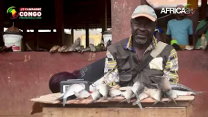 Congo : impact des prix alimentaires sur les ménages