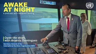 Open the strait, with Arsenio Dominguez | SG of the IMO | Awake at Night