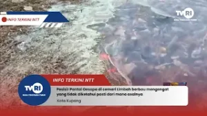 Limbah Cemari Pesisir Pantai Oesapa