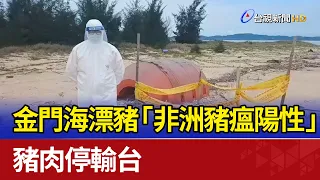 Kinmen Beach-Washed Pig Tests Positive for African Swine Fever; Pork Exports to Taiwan Halted
