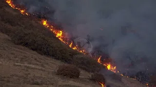 So far in 2026, Cuenca has recorded more than 230 forest fires
