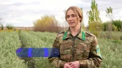 Атамекен: «Мамлют орман шаруашылығы»