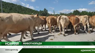 ЖИВОТНОВЪДИ: Административната работа затруднява сектора