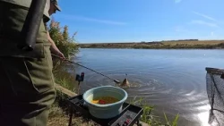 Press Fishing Cup - 10th Edition 2026 (tandem)