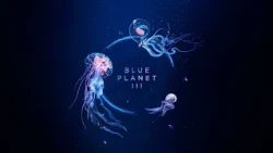 BLUE PLANET III: Exciting First Look At New Series! | Featuring JADE & Hans Zimmer | BBC Earth